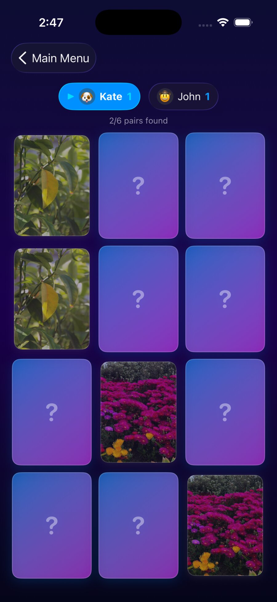 Screenshot of the Photo Card Pairs app